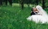 bride and groom between cherish trees
