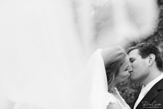 wedding photography with a veil